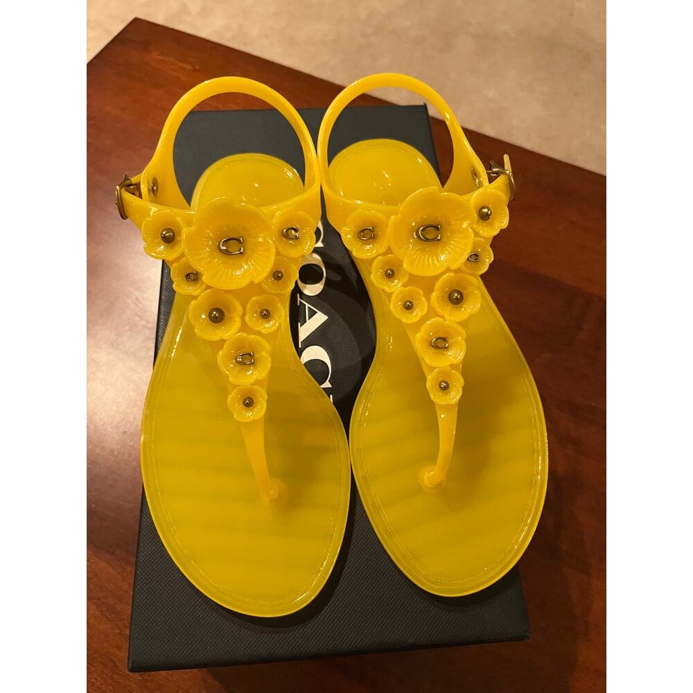Gorgeous COACH Jelly Sandal Size 6 NIB